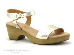 Kaola 710 - Platine - Sandale Doree Petit Talon 9 Kaola 710 - Platine - Sandale Doree Petit Talon -Femelle Chaussure Boutique cd24607c73b9e66c561f35ea11d5d5ef img 1273.jpg 148265