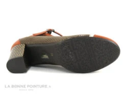 Dorking RODIN D8669 Orange Et Marron - Escarpin Avec Bride -Femelle Chaussure Boutique cd24607c73b9e66c561f35ea11d5d5ef img 1299.jpg 173233