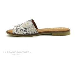 Kaola 590 Serpent - Beige - Mule Plate Femme 9 Kaola 590 Serpent - Beige - Mule Plate Femme -Femelle Chaussure Boutique cd24607c73b9e66c561f35ea11d5d5ef img 1311.jpg 148281