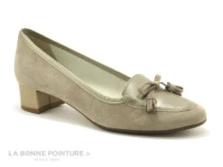 Hirica JILIANE Beige Platine Escarpin -Femelle Chaussure Boutique cd24607c73b9e66c561f35ea11d5d5ef img 2706.jpg 102665