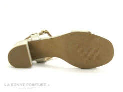 We Do 44021FB Platine - Sandale Femme Talon Carre -Femelle Chaussure Boutique cd24607c73b9e66c561f35ea11d5d5ef img 8327.jpg 181788