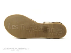 Tropeziennes HANANO Or Multi 19040 - Sandale Plagette 11 Tropeziennes HANANO Or Multi 19040 - Sandale Plagette -Femelle Chaussure Boutique cd24607c73b9e66c561f35ea11d5d5ef img 9470.jpg 159240